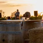 Organisez des concerts dans les vignes Bordelaises !