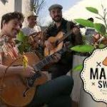 Mango Swing