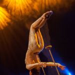 Magie et Arts du cirque