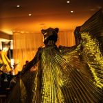 Show Performers costumés