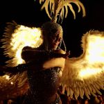 Show feu & LED