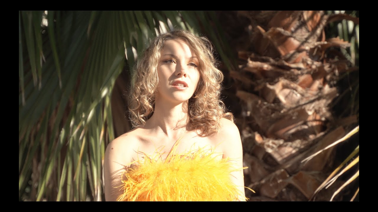 Comment te dire adieu - Françoise Hardy (vidéo)